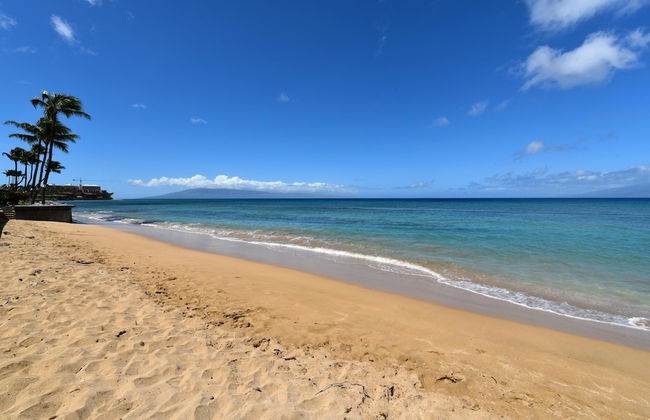 Kaleialoha 213 in Lahaina - Foto 42