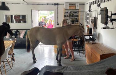 Winnica Bursztynowa - Foto 23