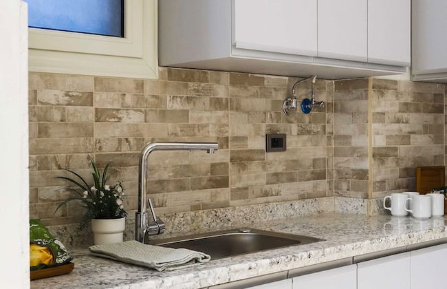 BIRD NEST Near AUC - Foto 44