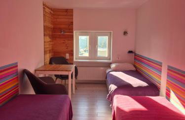 Kot Pocztowy - Foto 22