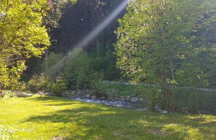 Apartamenty u Sikory - Foto 14