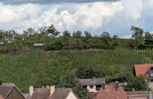 Les Toits de Mittelwihr proche Colmar, Ribeauvillé - Foto 39