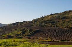 AL - HaoleGuestHouse - Photo 10