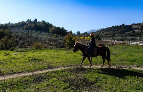 Ermis Katafigio - Photo 20