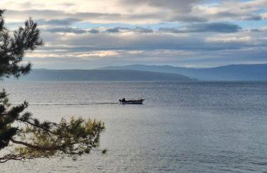 APARTMAN IVONA U PRIZEMLJU - Foto 37