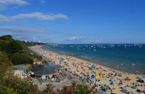 Poppy at Oakdene Forest Park - Foto 80
