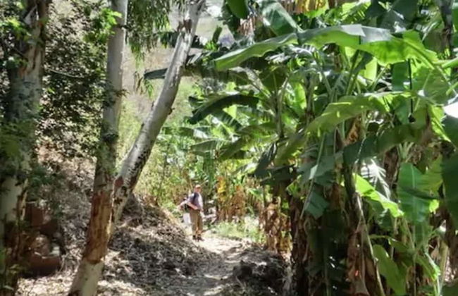 Praiano Aparthotel - Foto 42