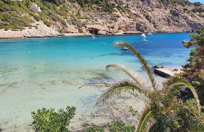 Hotel Apartamentos El Pinar - Foto 38