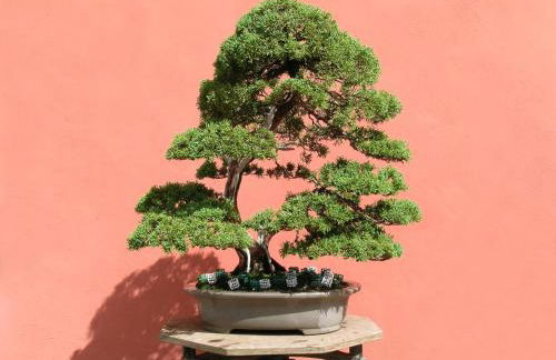 Casa Rural El Adelantado - Foto 29