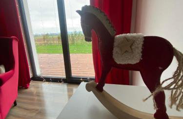 Noclegi Beskidzkie Stodoły - Foto 7