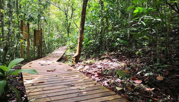 Nature path in El Guásimo