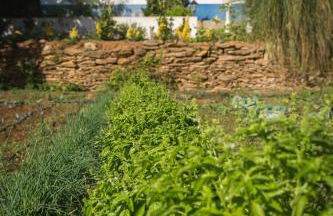 Entire villa hosted by Noam - Foto 7