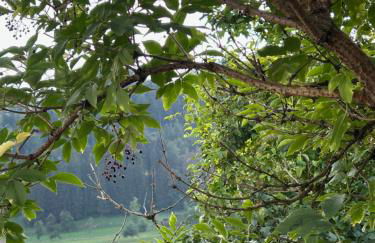 Ferienwohnung Refugium - Foto 28