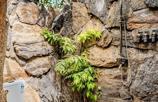 Woodland Sanctuary - Photo 21