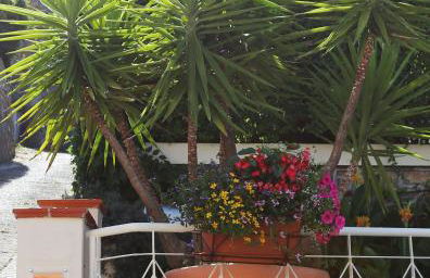 LIGURIA home - Foto 25