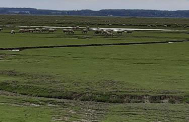 Les Obiones, vue latérale mer, Fort Mahon Plage, magnifique studio cabine 4p, avec balcon , parking privé gratuit, wifi, classé 2 étoiles, exposition plein sud en Baie de Somme - Foto 44
