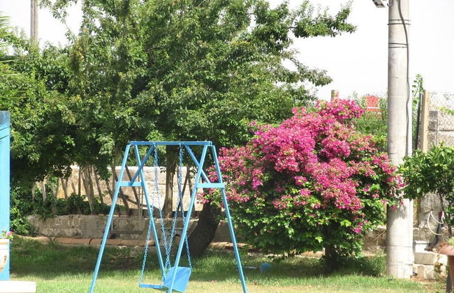 Aranceto Turismo Rurale - Foto 19