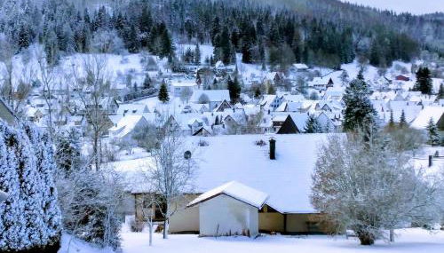 Mayntz' Albjuwel - Foto 5