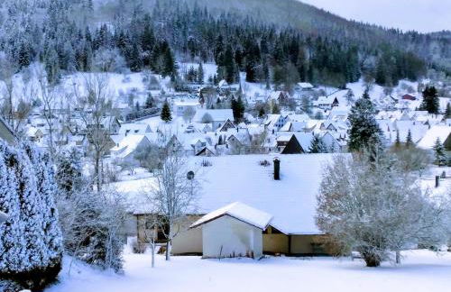 Mayntz' Albjuwel - Foto 5