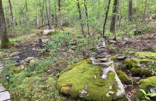 Peaceful Seasonal Wooded Cottage close to everything - Foto 38