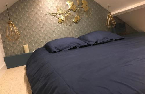 La petite Brainoise - Gîte avec salle jacuzzi 120 jets - Foto 6