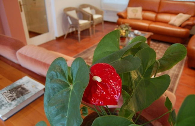 Casa a 15 minutos de la playa, con jardin privado y piscina - Photo 27