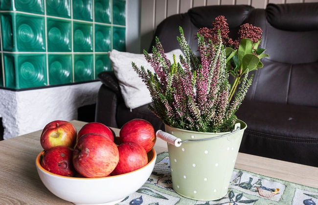 Ferienhaus im Thuringer Wald - Foto 27