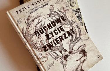 Zimna Woda 50 Brenna - Foto 53