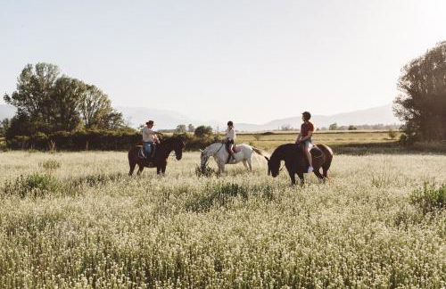 Mas Sant Marc - Foto 8