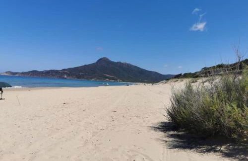 Il GLICINE - Foto 10