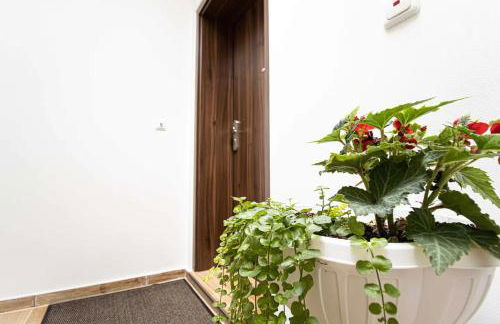 468 Plagwitz Apartment Kulturviertel - Foto 15