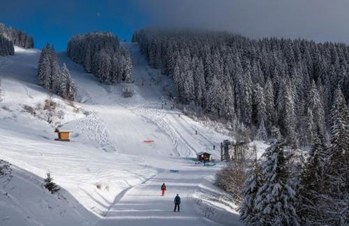 Dans résidence neuve LE SNOW ROC sur les pistes, appartement 8 personnes 2 chambres et coin montagne avec Terrasse WIFI et SAUNA - Photo 42