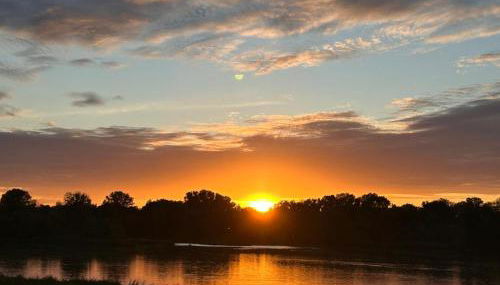 maison de ville agréable La roseraie Musicale - Photo 3