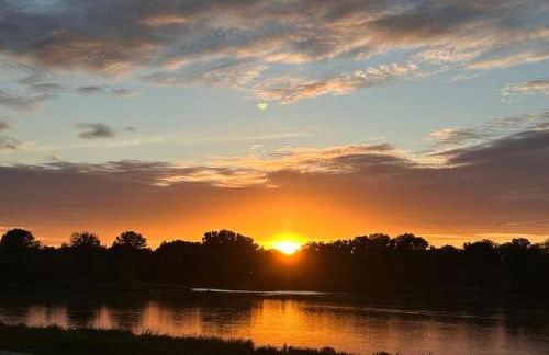 maison de ville agréable La roseraie Musicale - Foto 3