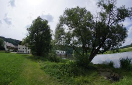 Angeln am Regen - Angelhof Posl - Foto 35