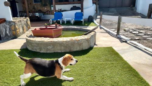 La cuadra de Juan - Foto 3