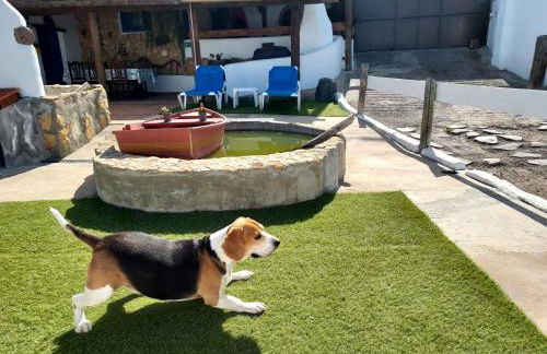 La cuadra de Juan - Foto 3