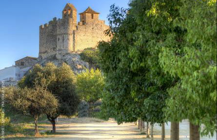 Villa Service - Apartamentos Aransol - Foto 29