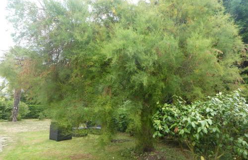 Maison familiale paisible - Proche du Grand Mont - Foto 20