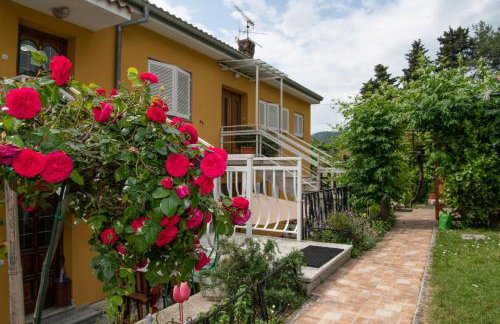 Ika Blue Studio - Photo 79