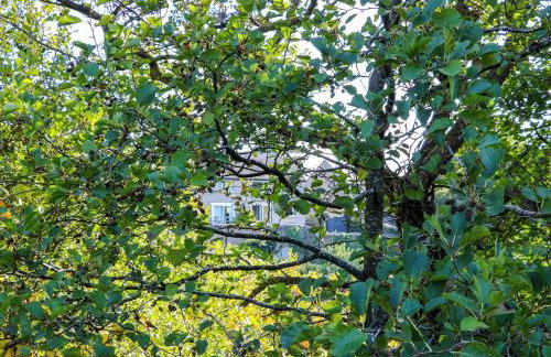 18 Thorngate Wynd - Photo 39