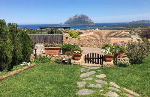 Porto San Paolo Sea Villa - Photo 33