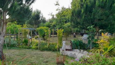 Chale dos Sobreiros - Foto 4, Garden