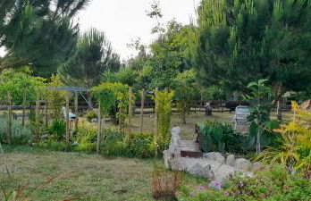 Chale dos Sobreiros - Foto 4