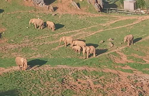 Vivienda Rural La Mazuga - Foto 77