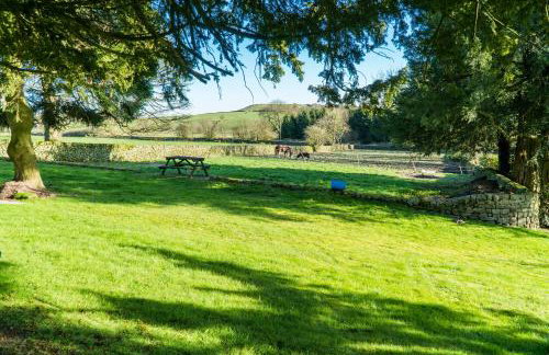 The Piggery - Foto 8