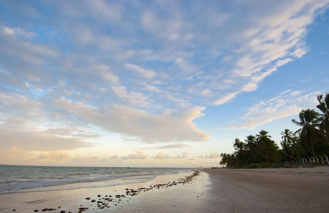 Chocolate com Pimenta Edifício - Photo 70