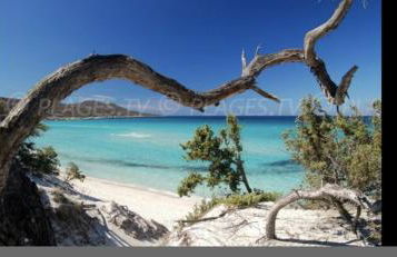 Résidence calme à 2 km de Saint-Florent - Foto 17