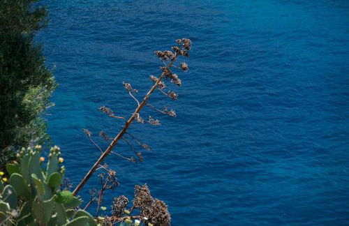 Villa Apoplous with pool - Photo 35