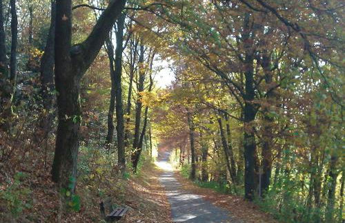 Ferienwohnung Moos-Hochsauerland - Foto 21
